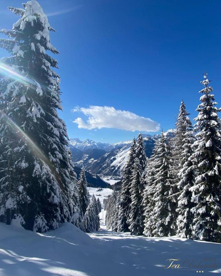Hotel Tea Dolomiti - Lago Di Alleghe - Monte Civetta ภายนอก รูปภาพ